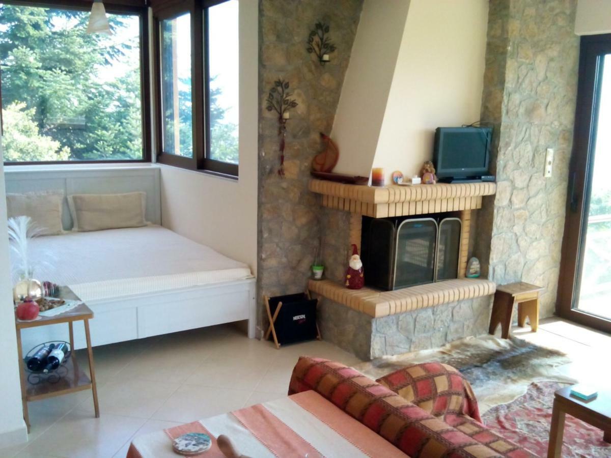 Elatos Cozy Studio Ano Trikala Exteriér fotografie