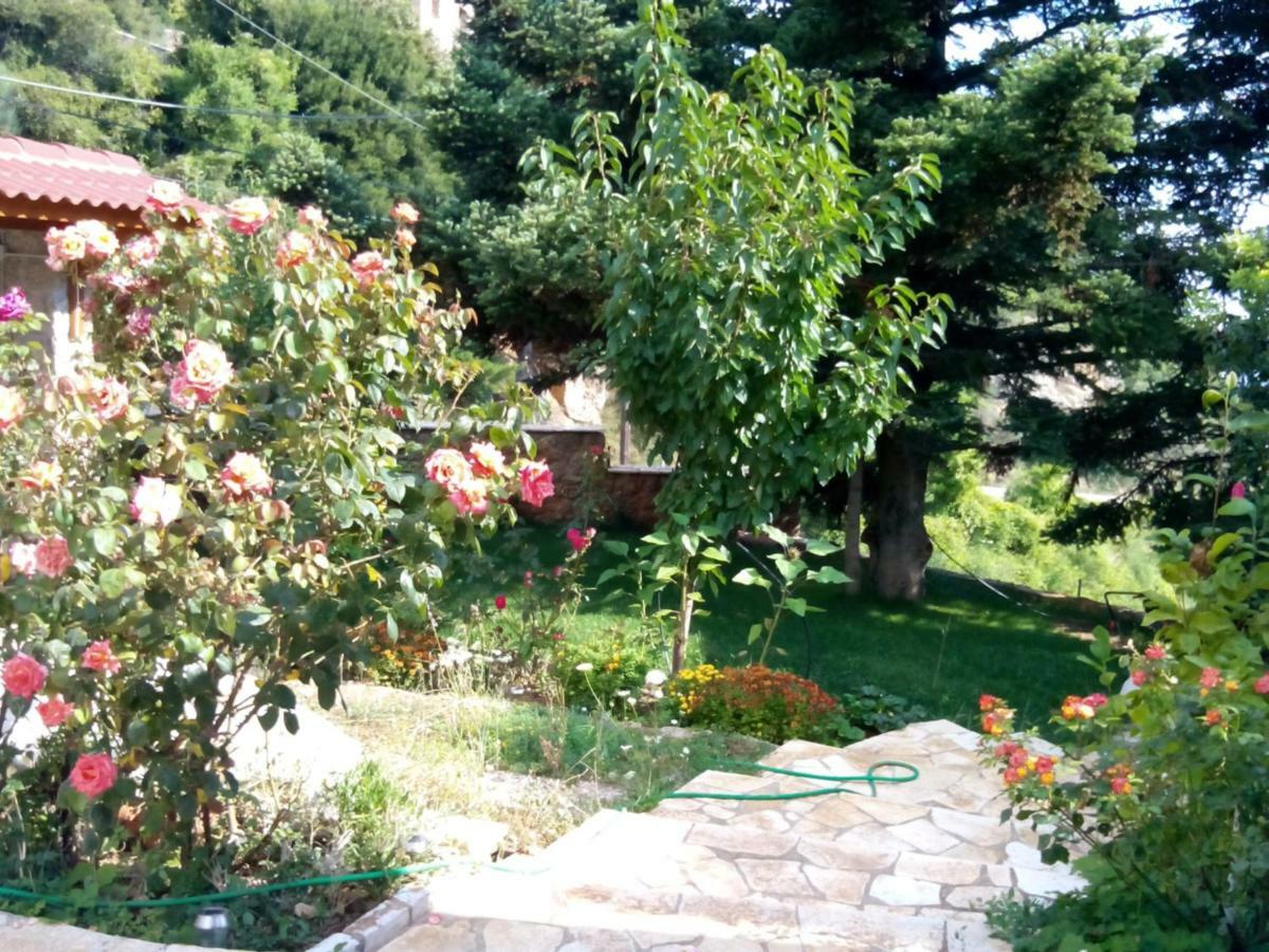 Elatos Cozy Studio Ano Trikala Exteriér fotografie