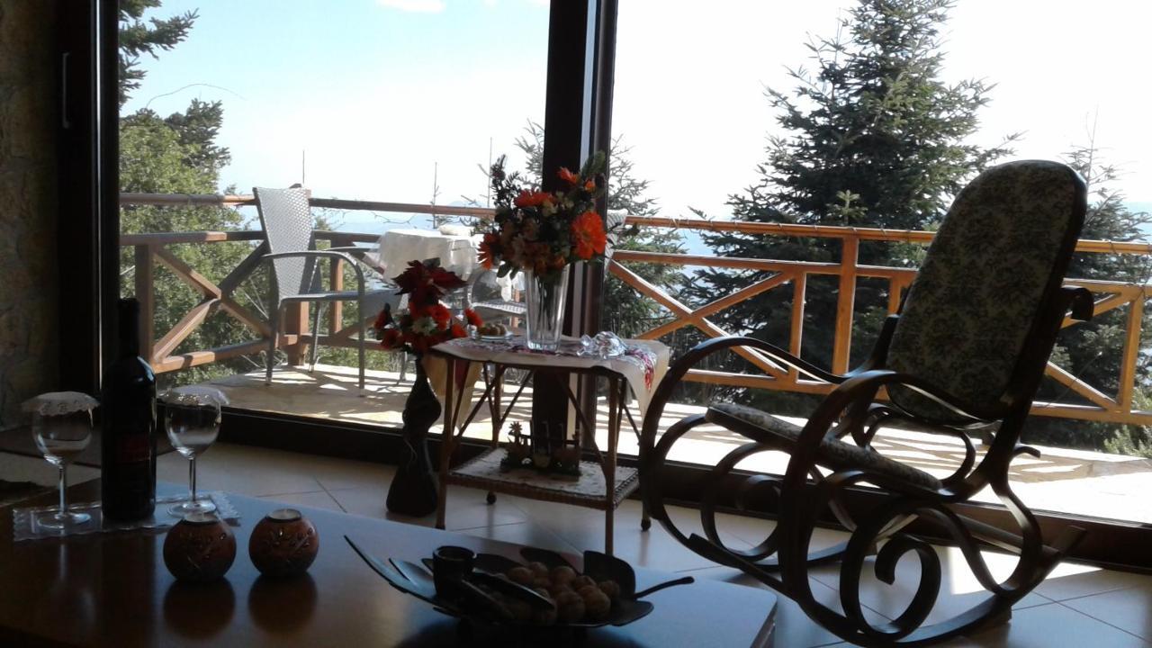 Elatos Cozy Studio Ano Trikala Exteriér fotografie
