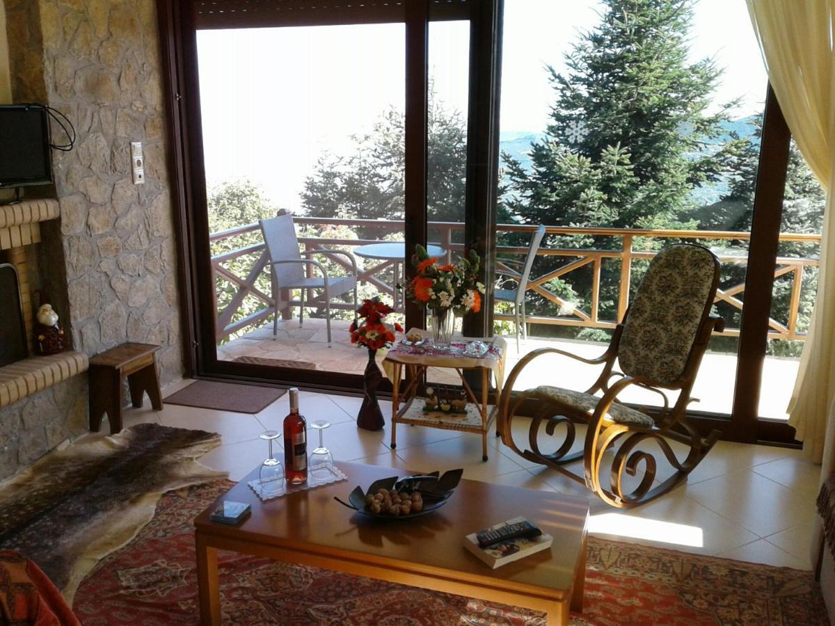 Elatos Cozy Studio Ano Trikala Exteriér fotografie