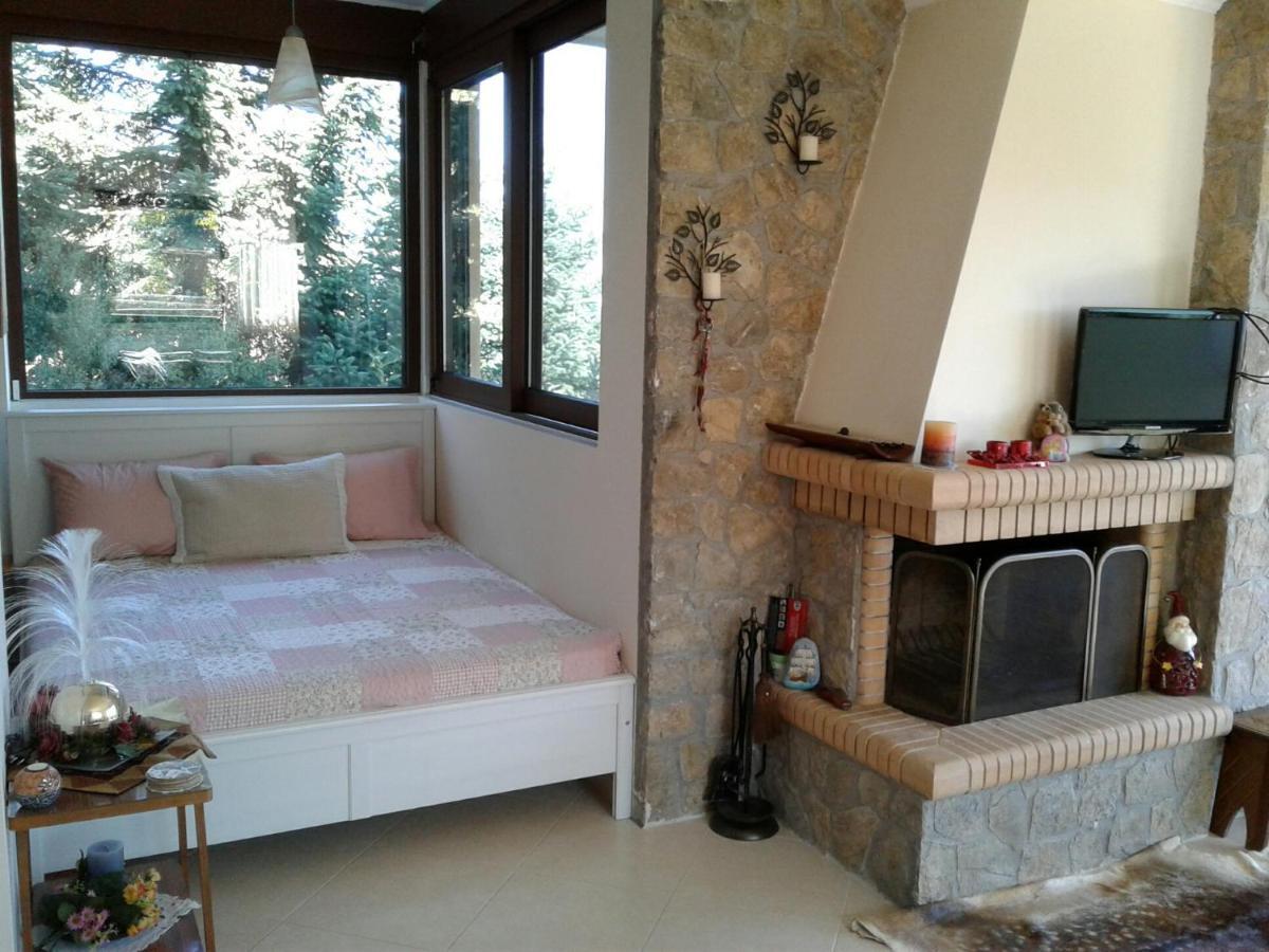 Elatos Cozy Studio Ano Trikala Exteriér fotografie